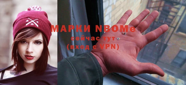 гидра Новодвинск