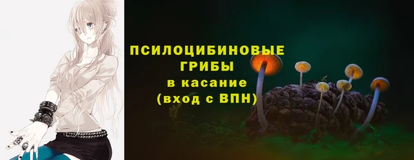 гашик Нефтегорск