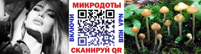 Купить закладки  Елизово  Псилоцибиновые грибы прущие грибы 